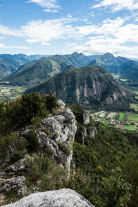 Pié de Boeuf Pié de Boeuf